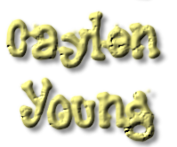 Image by FlamingText.com