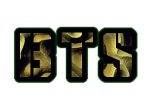 BTS logo. Free logo maker.