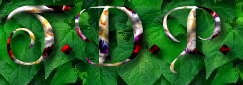 Image by FlamingText.com