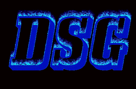 DSG International