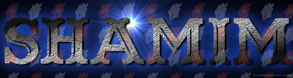 Shamim logo. Free logo maker.