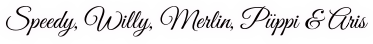 Image by FlamingText.com