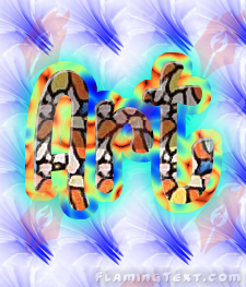 Image by FlamingText.com