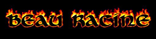 Image by FlamingText.com