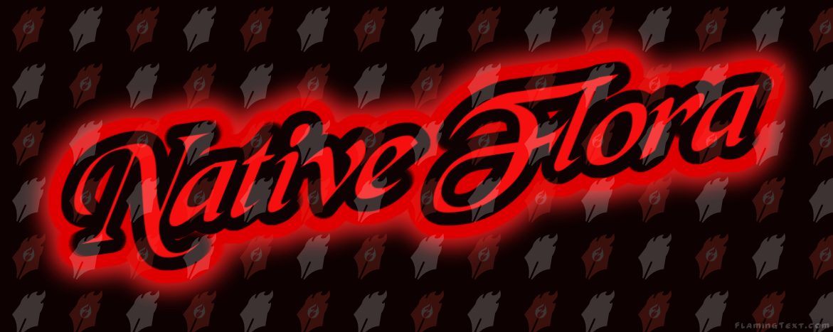 Image by FlamingText.com