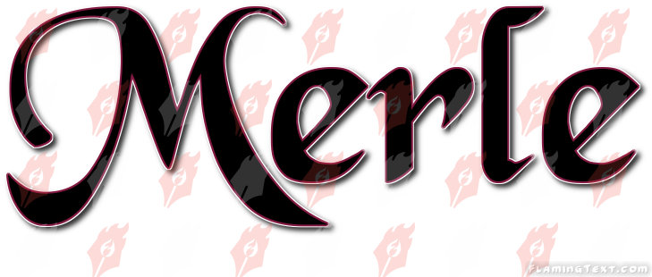 Image by FlamingText.com